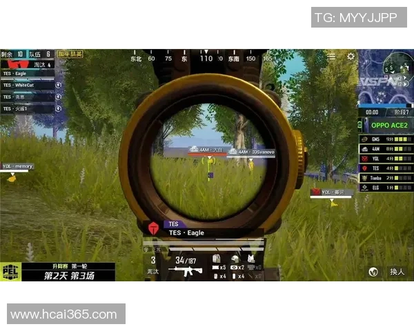 和平精英热议FPX战队节奏之争引发玩家热烈讨论与反思