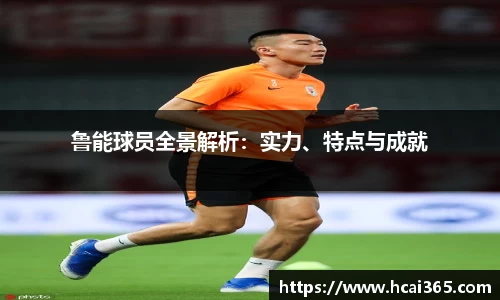 鲁能球员全景解析：实力、特点与成就
