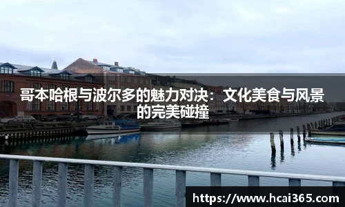 哥本哈根与波尔多的魅力对决：文化美食与风景的完美碰撞